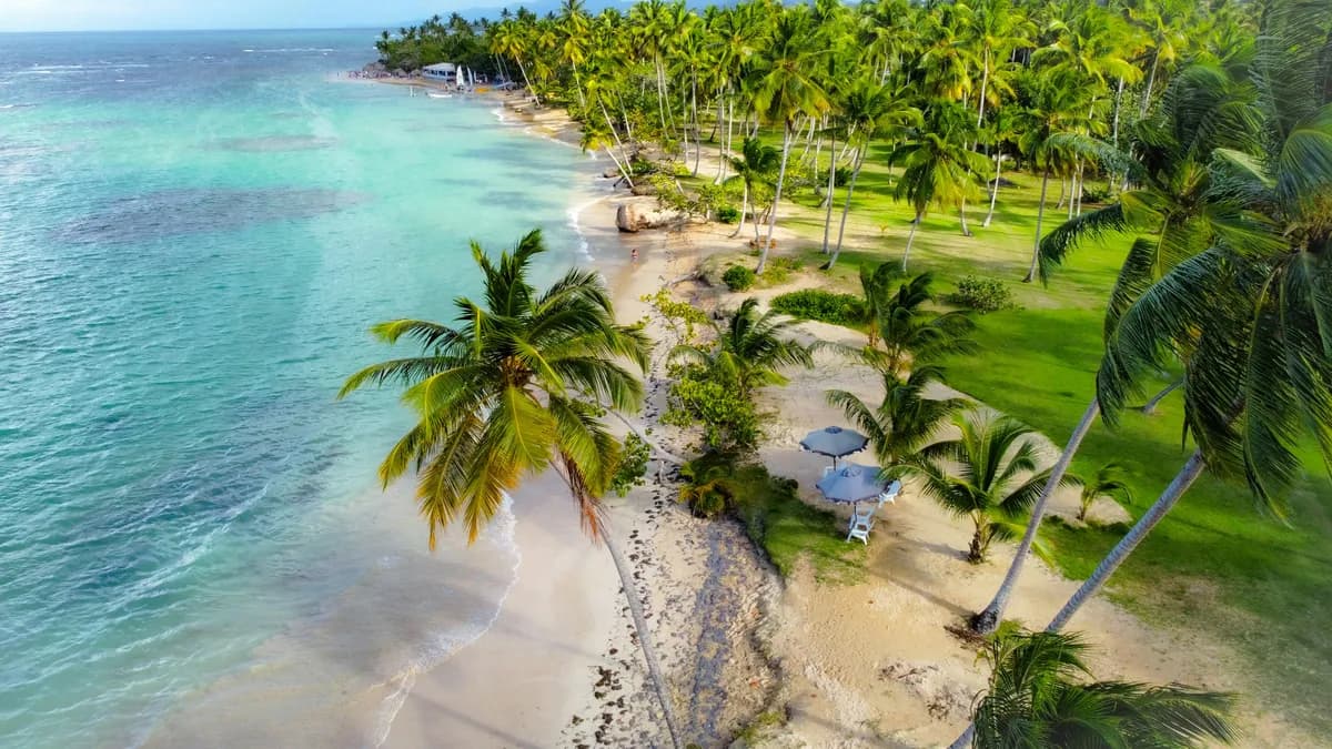 Classic 7-Day Dominican Republic Itinerary: Santo Domingo, Samaná & Punta Cana (2026)