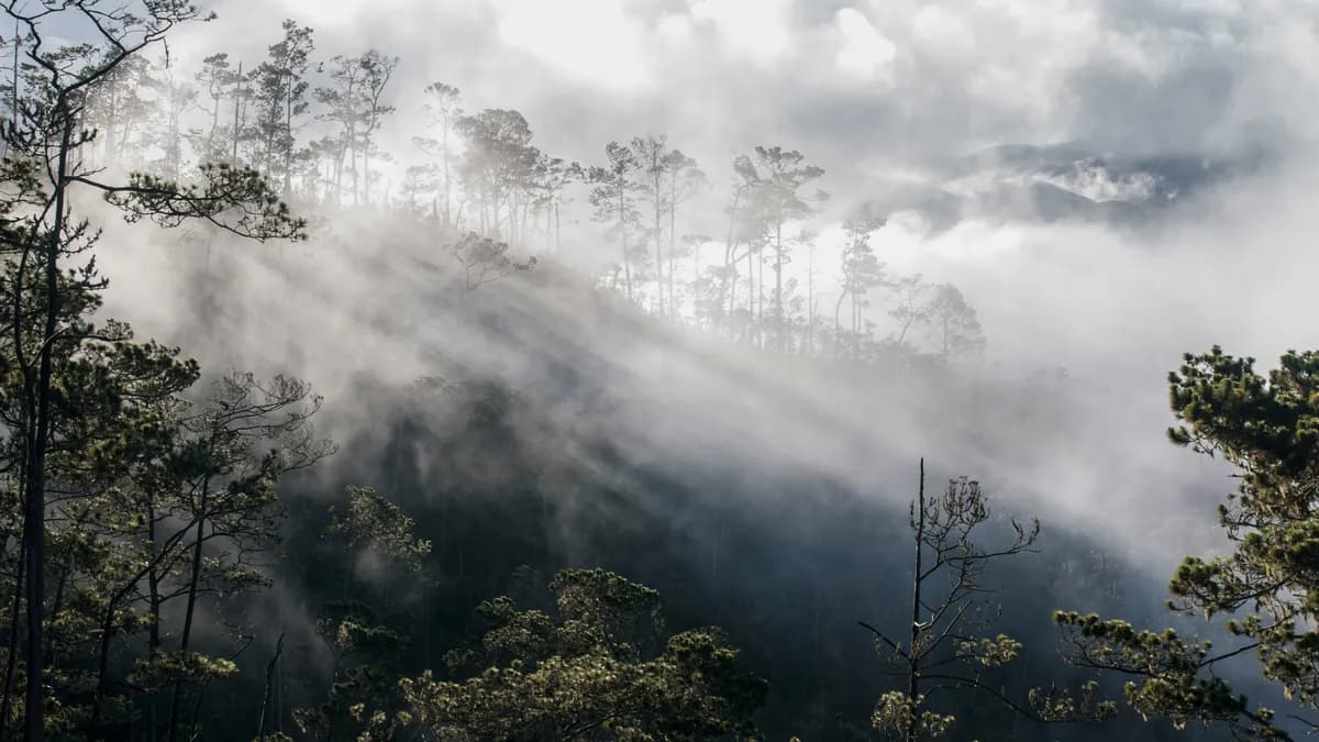 10-Day Dominican Republic Adventure: Pico Duarte, Samaná & Bahía de las Águilas (2026)