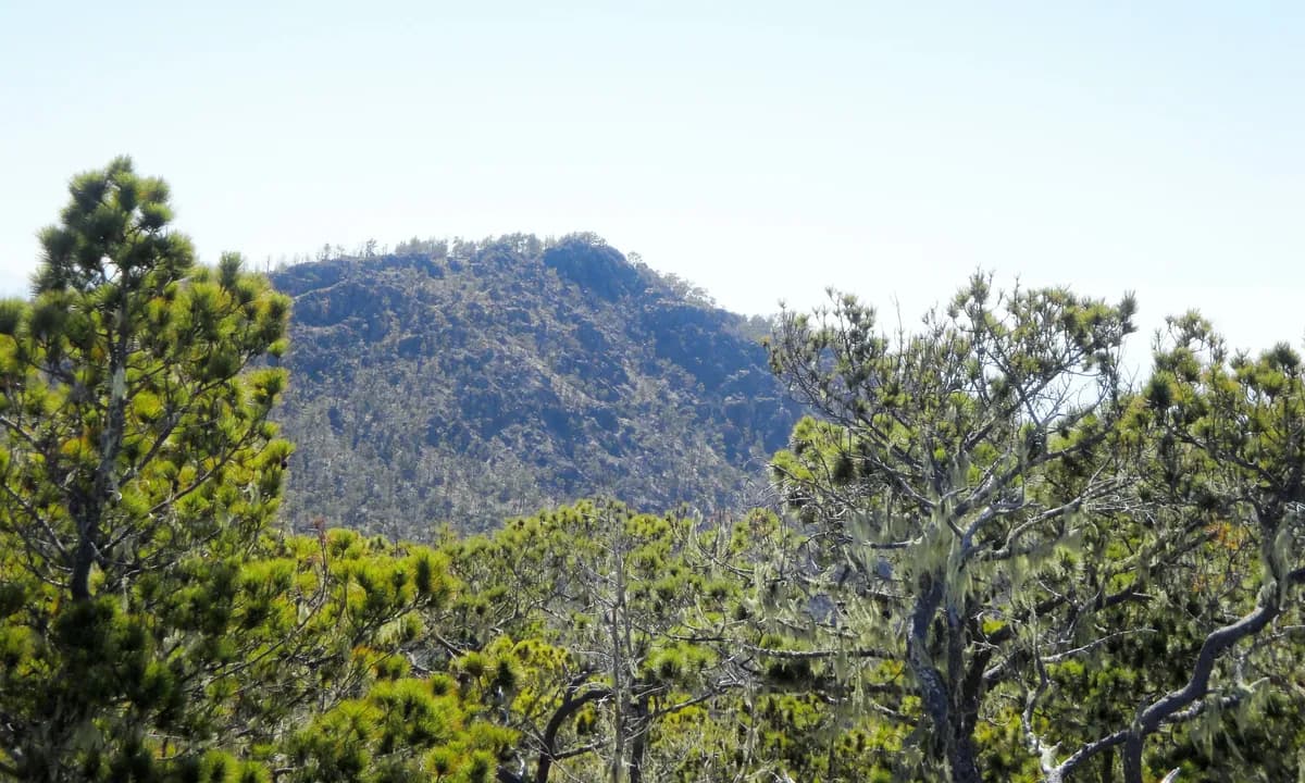 Hiking Pico Duarte