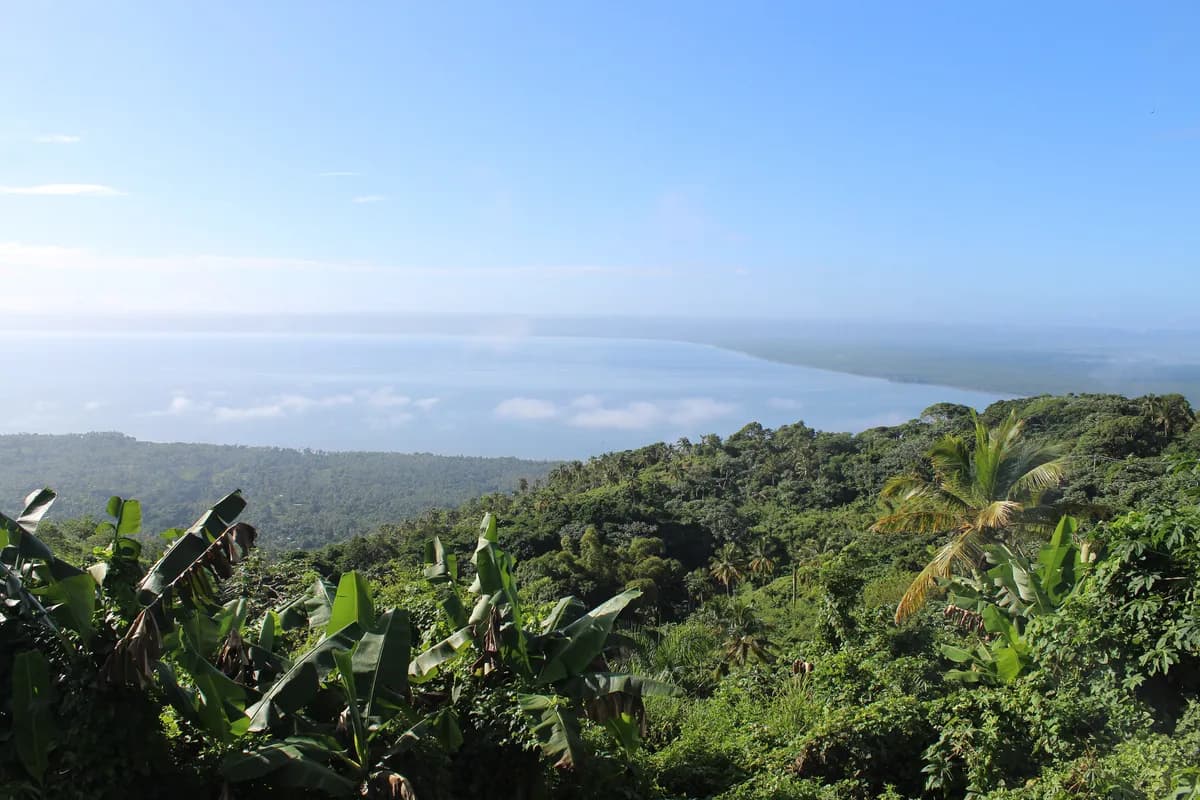 Whale Watching in Samana