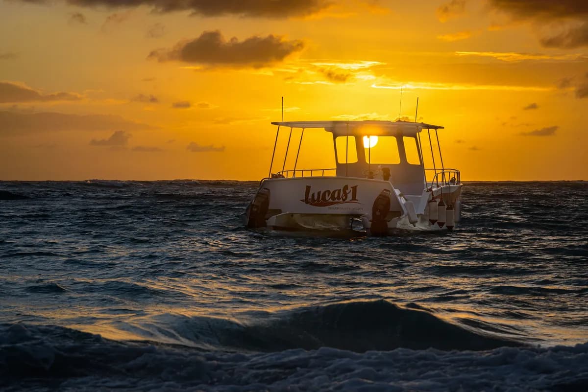 Catamaran Sailing Punta Cana
