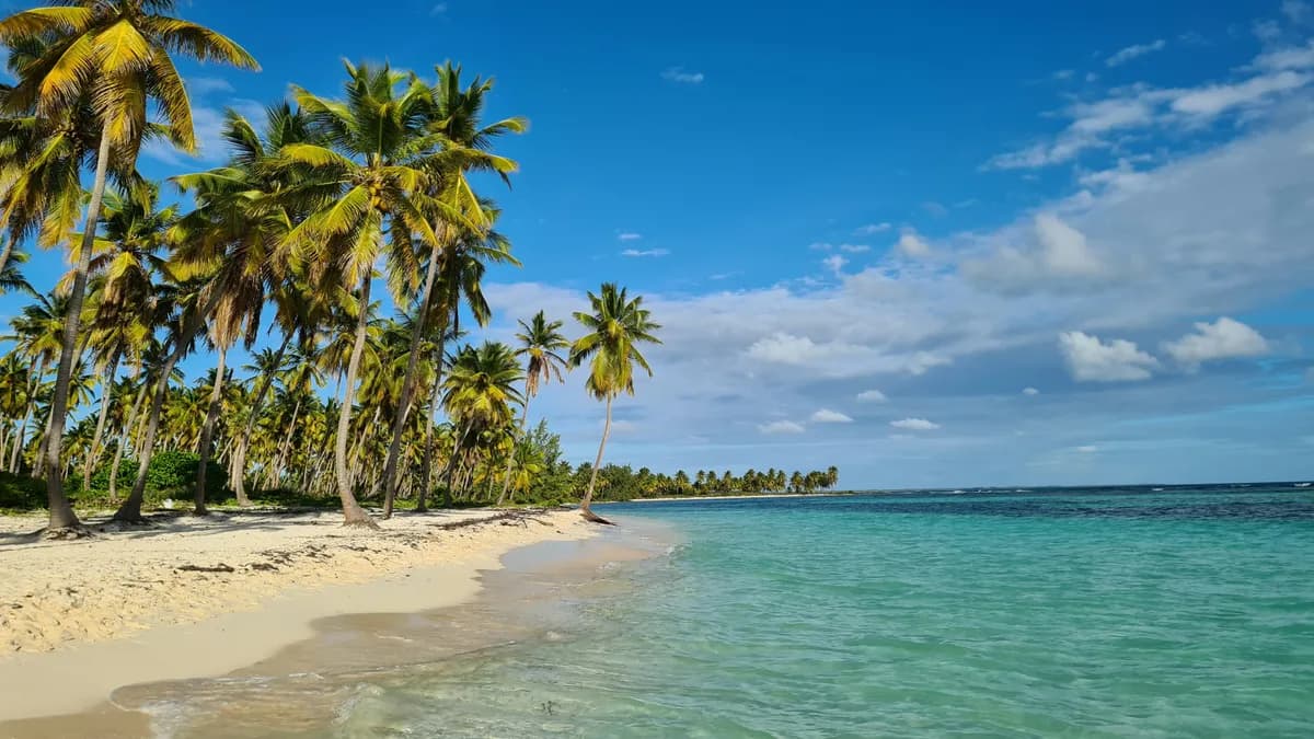 Isla Saona Beach
