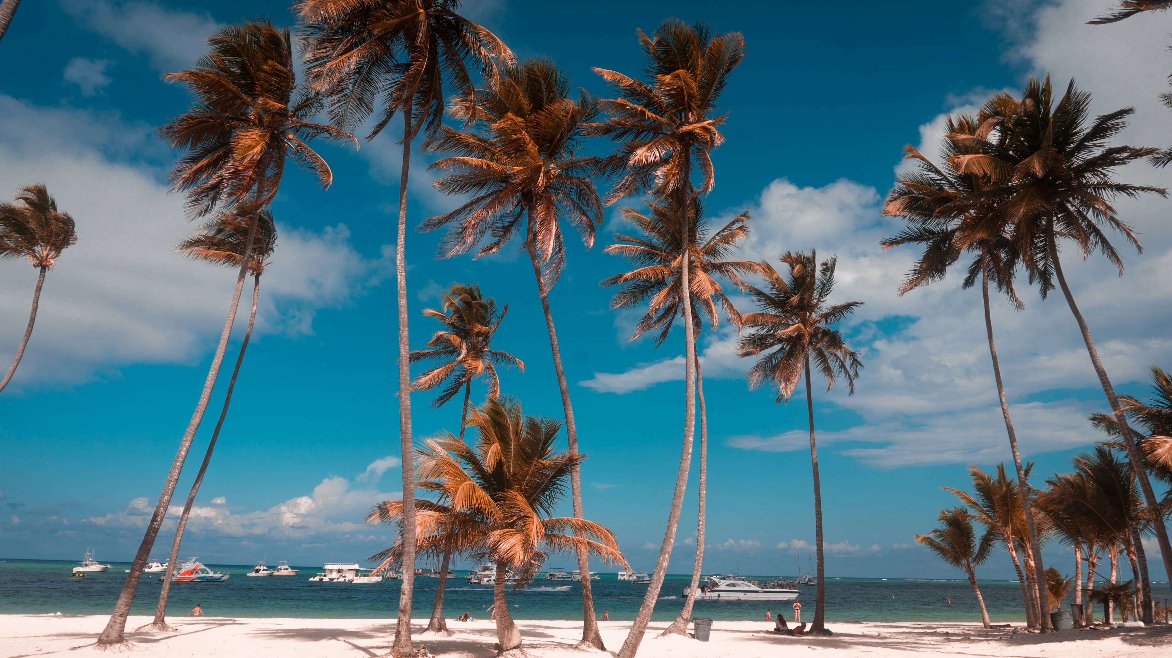 Bavaro