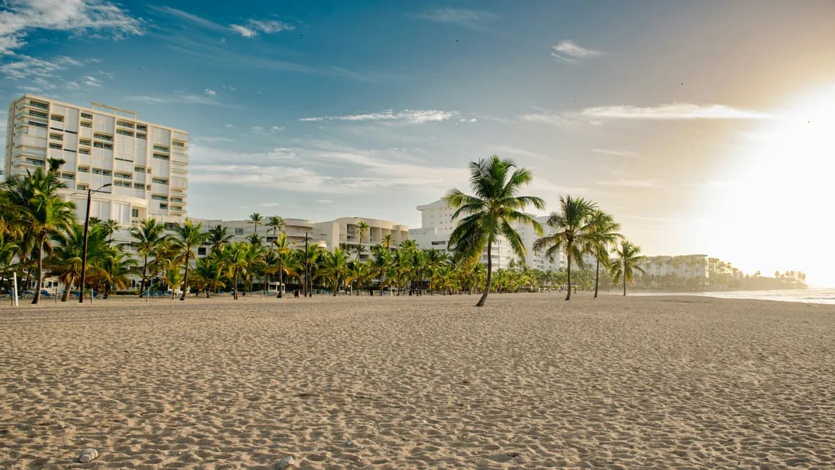 A sandy beach with palm trees and a hotel in the background