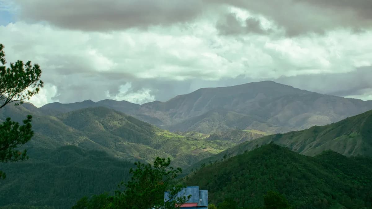 Constanza