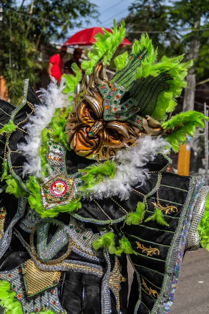 Carnival of La Vega