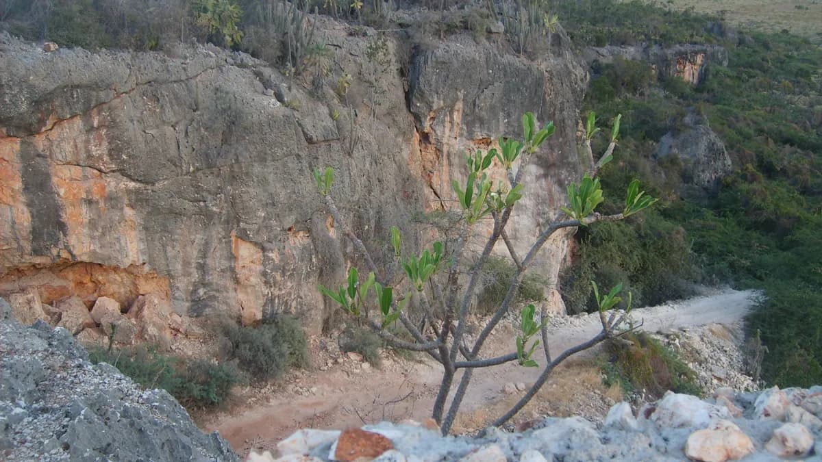 Parque Nacional Jaragua