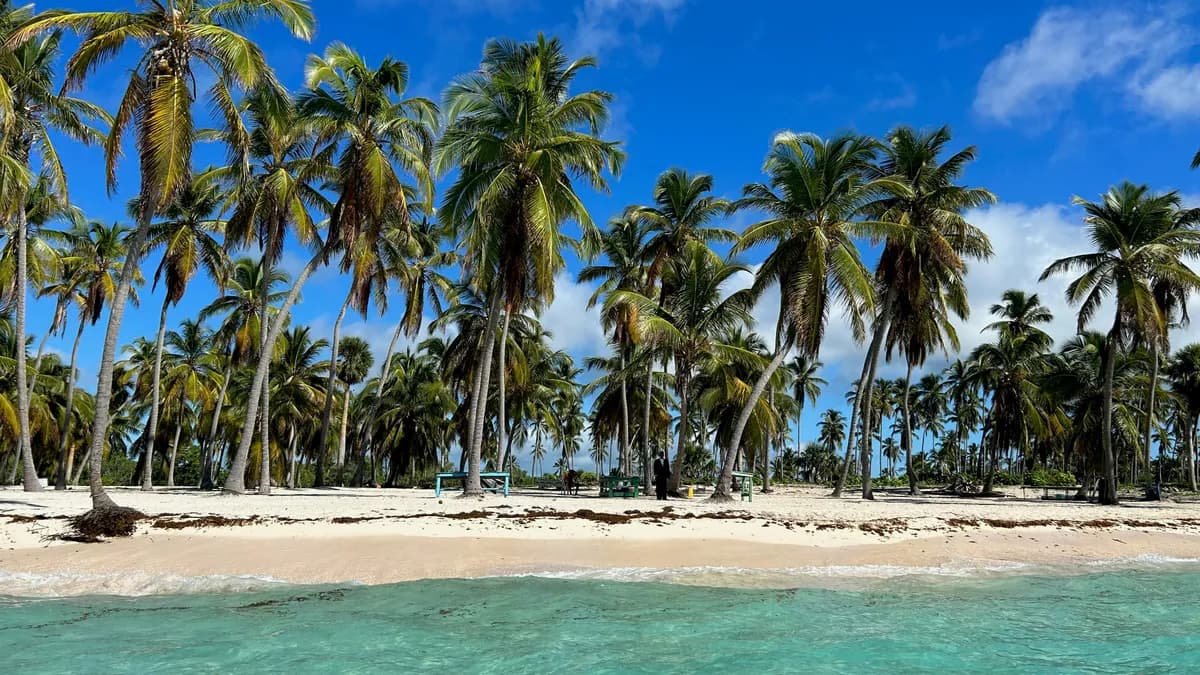 Dominican Republic in January: Weather & Whales
