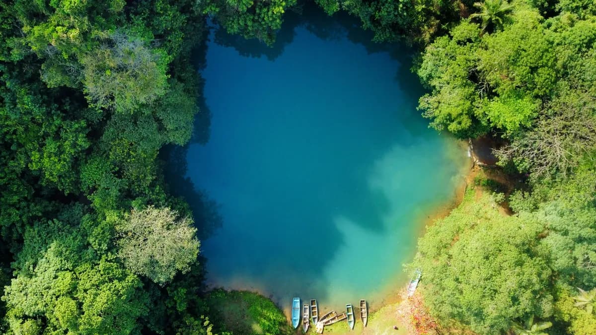Best Time to Visit the Dominican Republic