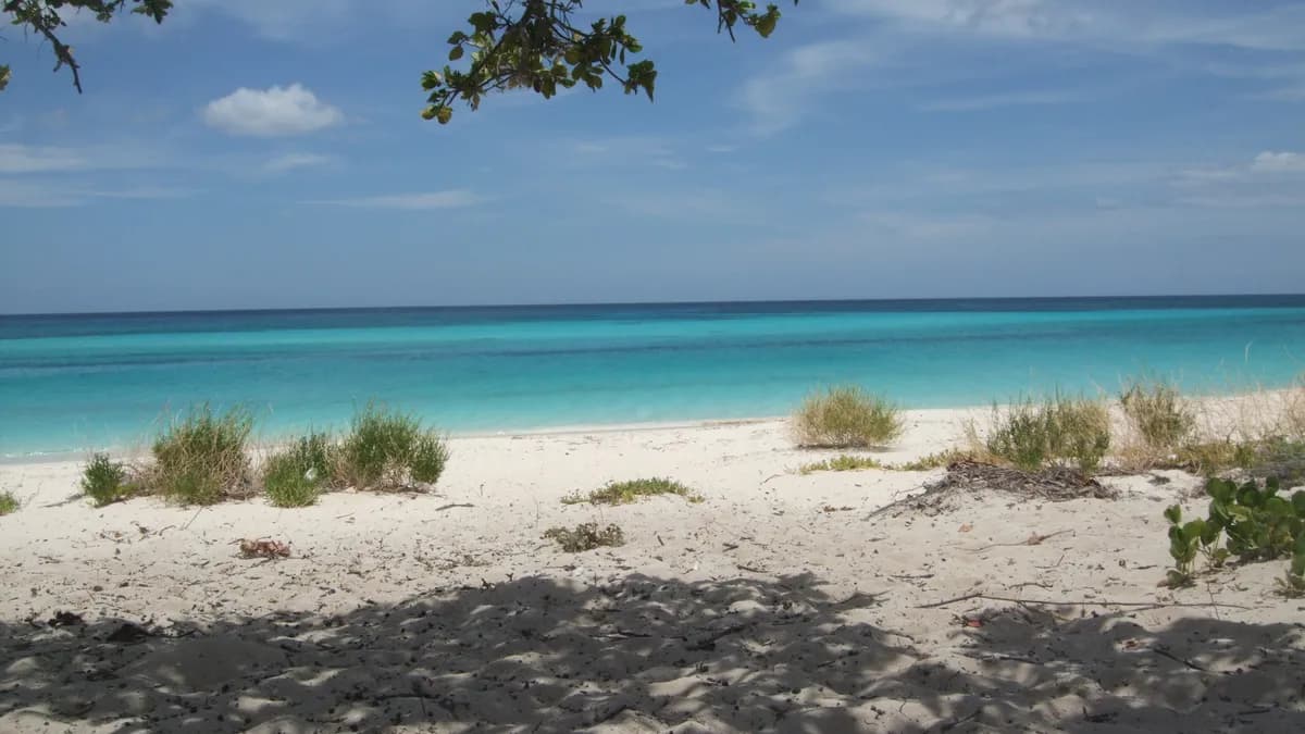 Pedernales & Bahía de las Águilas: Last Frontier